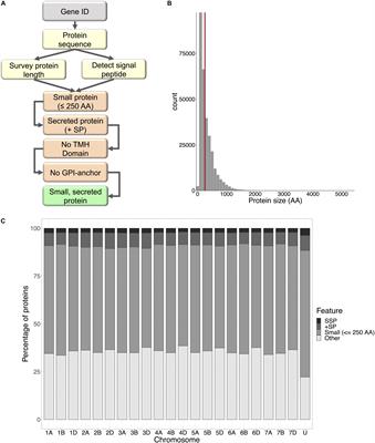 Wheat Encodes Small, Secreted Proteins That Contribute to Resistance to Septoria Tritici Blotch